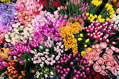 肉鸽殖民模拟《奥德赛光之越》公布 明年抢先体验