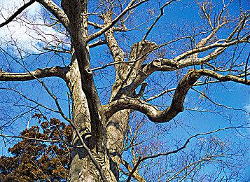 又一款《最终幻想》手游宣布于今年5月底停服